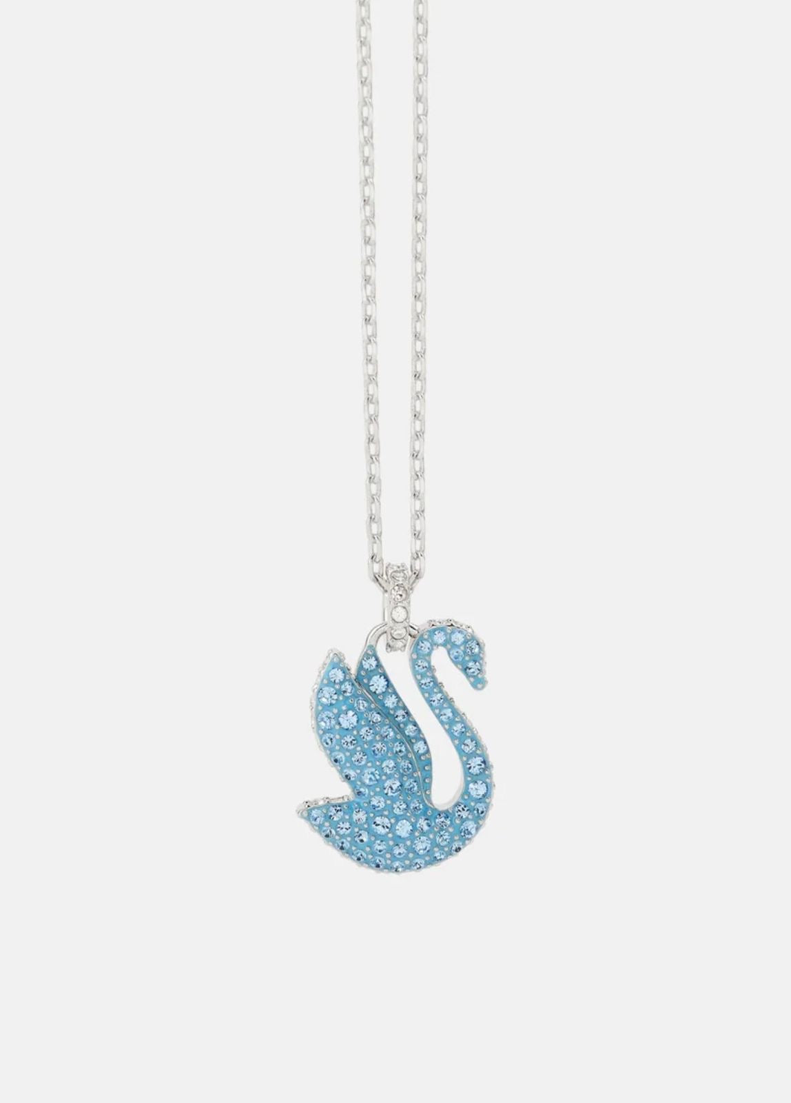 BABY BLUE SWAN